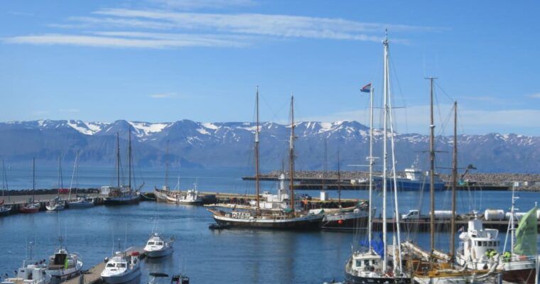 Avistamiento de ballenas en Islandia (con bebé)