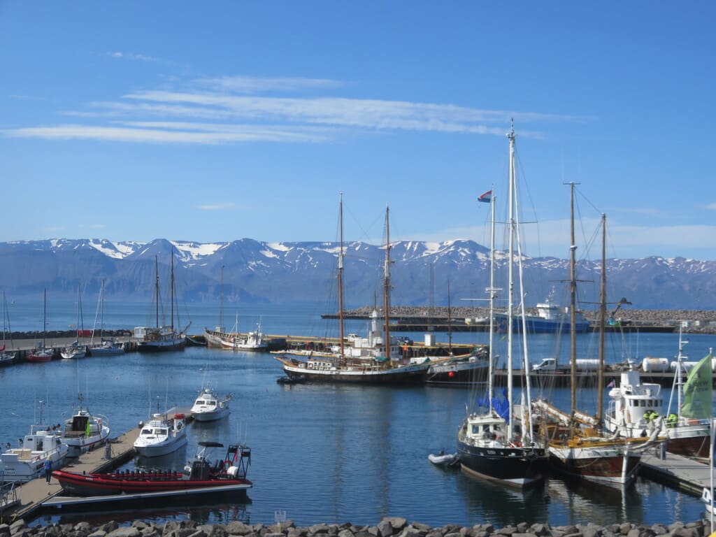 Avistamiento de ballenas en Islandia (con bebé)